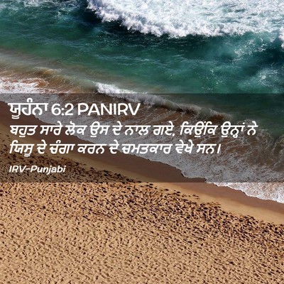 Picture 02 - ਯੂਹੰਨਾ 6:2 PANIRV - ਬਹੁਤ ਸਾਰੇ ਲੋਕ ਉਸ ਦੇ - Bible Verse Picture