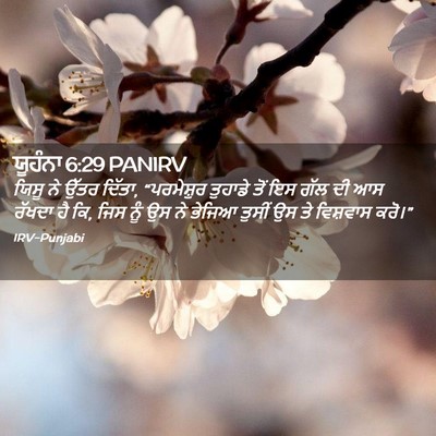 Picture 02 - ਯੂਹੰਨਾ 6:29 PANIRV - ਯਿਸੂ ਨੇ ਉੱਤਰ ਦਿੱਤਾ, - Bible Verse Picture
