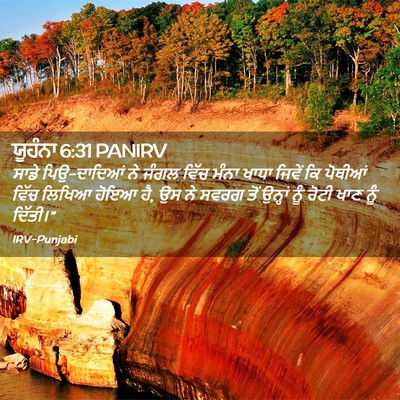 Picture 02 - ਯੂਹੰਨਾ 6:31 PANIRV - ਸਾਡੇ ਪਿਉ-ਦਾਦਿਆਂ ਨੇ - Bible Verse Picture