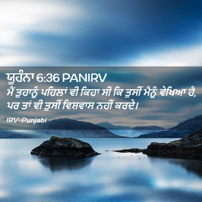 Picture 02 - ਯੂਹੰਨਾ 6:36 PANIRV - ਮੈਂ ਤੁਹਾਨੂੰ - Bible Verse Picture