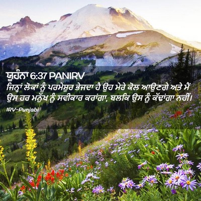 Picture 02 - ਯੂਹੰਨਾ 6:37 PANIRV - ਜਿਨ੍ਹਾਂ ਲੋਕਾਂ ਨੂੰ - Bible Verse Picture