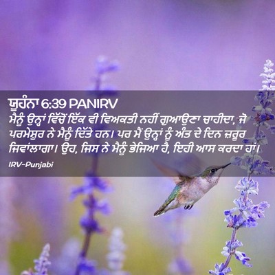Picture 02 - ਯੂਹੰਨਾ 6:39 PANIRV - ਮੈਨੂੰ ਉਨ੍ਹਾਂ - Bible Verse Picture