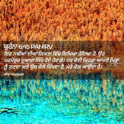 Picture 02 - ਯੂਹੰਨਾ 6:45 PANIRV - ਇਹ ਨਬੀਆਂ ਦੀਆਂ - Bible Verse Picture
