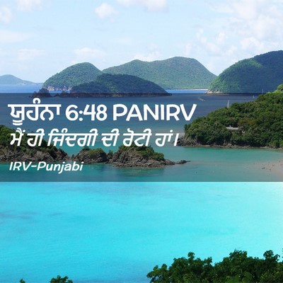Picture 02 - ਯੂਹੰਨਾ 6:48 PANIRV - ਮੈਂ ਹੀ ਜਿੰਦਗੀ ਦੀ - Bible Verse Picture
