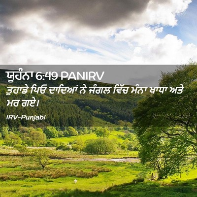 Picture 02 - ਯੂਹੰਨਾ 6:49 PANIRV - ਤੁਹਾਡੇ ਪਿਓ ਦਾਦਿਆਂ - Bible Verse Picture