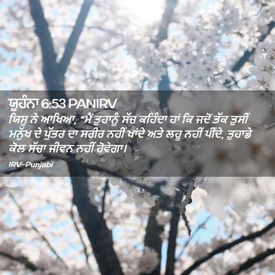 Picture 02 - ਯੂਹੰਨਾ 6:53 PANIRV - ਯਿਸੂ ਨੇ ਆਖਿਆ, “ਮੈਂ - Bible Verse Picture