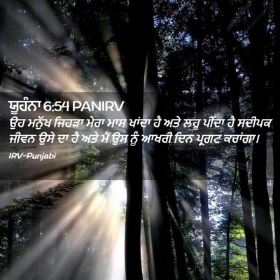 Picture 02 - ਯੂਹੰਨਾ 6:54 PANIRV - ਉਹ ਮਨੁੱਖ ਜਿਹੜਾ - Bible Verse Picture