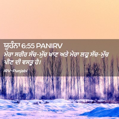 Picture 02 - ਯੂਹੰਨਾ 6:55 PANIRV - ਮੇਰਾ ਸਰੀਰ ਸੱਚ-ਮੁੱਚ - Bible Verse Picture