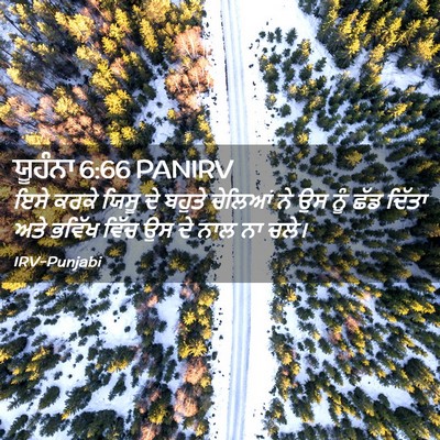Picture 02 - ਯੂਹੰਨਾ 6:66 PANIRV - ਇਸੇ ਕਰਕੇ ਯਿਸੂ ਦੇ - Bible Verse Picture
