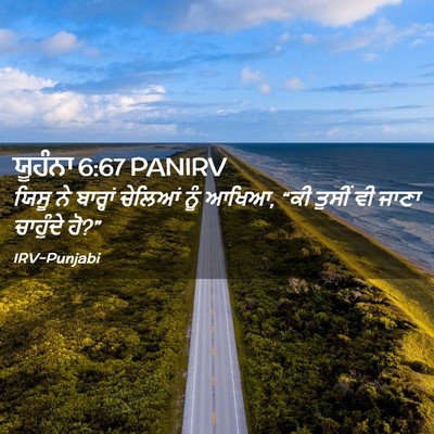 Picture 02 - ਯੂਹੰਨਾ 6:67 PANIRV - ਯਿਸੂ ਨੇ ਬਾਰ੍ਹਾਂ - Bible Verse Picture
