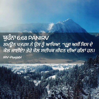 Picture 02 - ਯੂਹੰਨਾ 6:68 PANIRV - ਸ਼ਮਊਨ ਪਤਰਸ ਨੇ ਉਸ - Bible Verse Picture