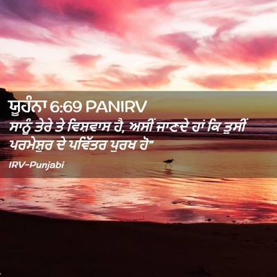 Picture 02 - ਯੂਹੰਨਾ 6:69 PANIRV - ਸਾਨੂੰ ਤੇਰੇ ਤੇ - Bible Verse Picture