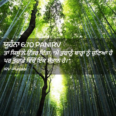Picture 02 - ਯੂਹੰਨਾ 6:70 PANIRV - ਤਾਂ ਯਿਸੂ ਨੇ ਉੱਤਰ - Bible Verse Picture