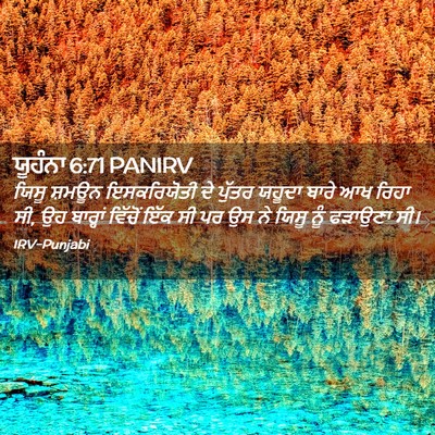 Picture 02 - ਯੂਹੰਨਾ 6:71 PANIRV - ਯਿਸੂ ਸ਼ਮਊਨ - Bible Verse Picture