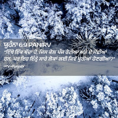 Picture 02 - ਯੂਹੰਨਾ 6:9 PANIRV - “ਇੱਥੇ ਇੱਕ ਬੱਚਾ ਹੈ, - Bible Verse Picture