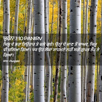 Picture 02 - ਯੂਹੰਨਾ 7:10 PANIRV - ਯਿਸੂ ਦੇ ਭਰਾ ਤਿਉਹਾਰ - Bible Verse Picture