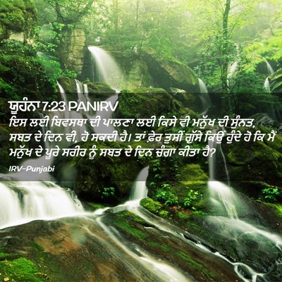 Picture 02 - ਯੂਹੰਨਾ 7:23 PANIRV - ਇਸ ਲਈ ਬਿਵਸਥਾ ਦੀ - Bible Verse Picture