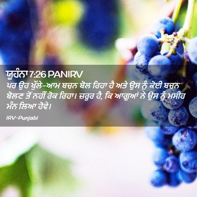Picture 02 - ਯੂਹੰਨਾ 7:26 PANIRV - ਪਰ ਉਹ ਖੁੱਲੇ-ਆਮ ਬਚਨ - Bible Verse Picture