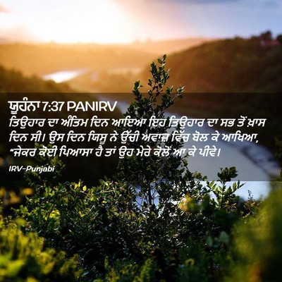 Picture 02 - ਯੂਹੰਨਾ 7:37 PANIRV - ਤਿਉਹਾਰ ਦਾ ਅੰਤਿਮ - Bible Verse Picture