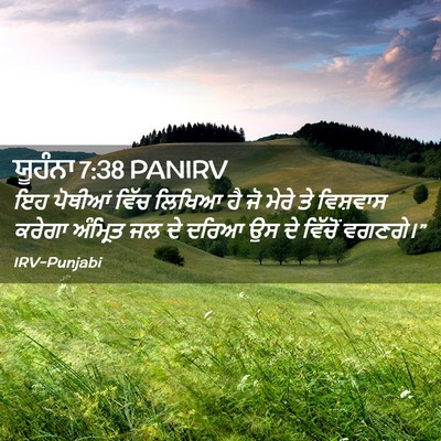 Picture 02 - ਯੂਹੰਨਾ 7:38 PANIRV - ਇਹ ਪੋਥੀਆਂ ਵਿੱਚ - Bible Verse Picture
