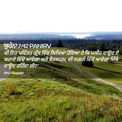 Picture 02 - ਯੂਹੰਨਾ 7:42 PANIRV - ਕੀ ਇਹ ਪਵਿੱਤਰ ਗ੍ਰੰਥ - Bible Verse Picture