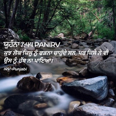 Picture 02 - ਯੂਹੰਨਾ 7:44 PANIRV - ਕੁਝ ਲੋਕ ਯਿਸੂ ਨੂੰ - Bible Verse Picture