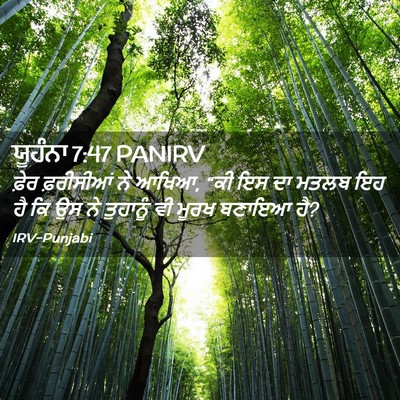 Picture 02 - ਯੂਹੰਨਾ 7:47 PANIRV - ਫ਼ੇਰ ਫ਼ਰੀਸੀਆਂ ਨੇ - Bible Verse Picture
