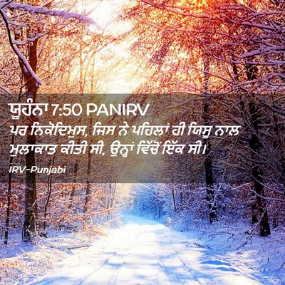 Picture 02 - ਯੂਹੰਨਾ 7:50 PANIRV - ਪਰ ਨਿਕੋਦਿਮੁਸ, ਜਿਸ - Bible Verse Picture