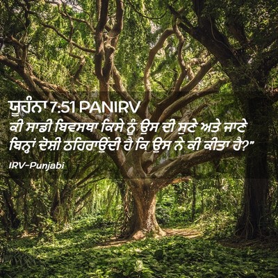 Picture 02 - ਯੂਹੰਨਾ 7:51 PANIRV - ਕੀ ਸਾਡੀ ਬਿਵਸਥਾ - Bible Verse Picture