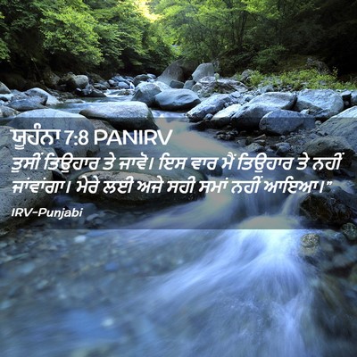 Picture 02 - ਯੂਹੰਨਾ 7:8 PANIRV - ਤੁਸੀਂ ਤਿਉਹਾਰ ਤੇ - Bible Verse Picture