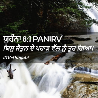 Picture 02 - ਯੂਹੰਨਾ 8:1 PANIRV - ਯਿਸੂ ਜੈਤੂਨ ਦੇ ਪਹਾੜ - Bible Verse Picture