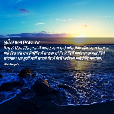Picture 02 - ਯੂਹੰਨਾ 8:14 PANIRV - ਯਿਸੂ ਨੇ ਉੱਤਰ ਦਿੱਤਾ, - Bible Verse Picture