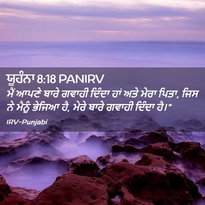 Picture 02 - ਯੂਹੰਨਾ 8:18 PANIRV - ਮੈਂ ਆਪਣੇ ਬਾਰੇ - Bible Verse Picture