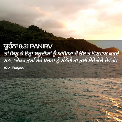 Picture 02 - ਯੂਹੰਨਾ 8:31 PANIRV - ਤਾਂ ਯਿਸੂ ਨੇ ਉਨ੍ਹਾਂ - Bible Verse Picture