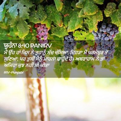 Picture 02 - ਯੂਹੰਨਾ 8:40 PANIRV - ਮੈਂ ਉਹ ਹਾਂ ਜਿਸ ਨੇ - Bible Verse Picture