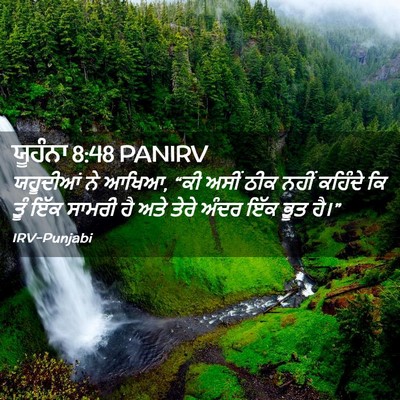 Picture 02 - ਯੂਹੰਨਾ 8:48 PANIRV - ਯਹੂਦੀਆਂ ਨੇ ਆਖਿਆ, - Bible Verse Picture