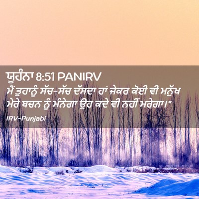 Picture 02 - ਯੂਹੰਨਾ 8:51 PANIRV - ਮੈਂ ਤੁਹਾਨੂੰ - Bible Verse Picture