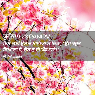 Picture 02 - ਯੂਹੰਨਾ 9:23 PANIRV - ਇਸੇ ਲਈ ਉਸ ਦੇ ਮਾਪਿਆਂ - Bible Verse Picture