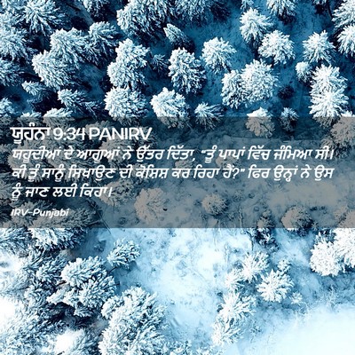 Picture 02 - ਯੂਹੰਨਾ 9:34 PANIRV - ਯਹੂਦੀਆਂ ਦੇ ਆਗੂਆਂ - Bible Verse Picture