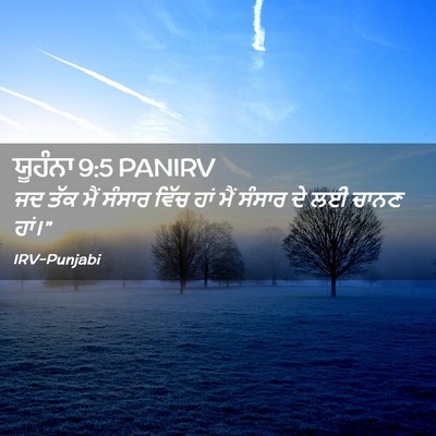 Picture 02 - ਯੂਹੰਨਾ 9:5 PANIRV - ਜਦ ਤੱਕ ਮੈਂ ਸੰਸਾਰ - Bible Verse Picture