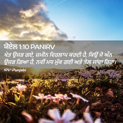 Picture 02 - ਯੋਏਲ 1:10 PANIRV - ਖੇਤ ਉਜੜ ਗਏ, ਜ਼ਮੀਨ - Bible Verse Picture