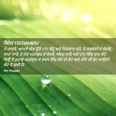 Picture 02 - ਯੋਏਲ 1:13 PANIRV - ਹੇ ਜਾਜਕੋ, ਆਪਣੇ ਲੱਕ - Bible Verse Picture