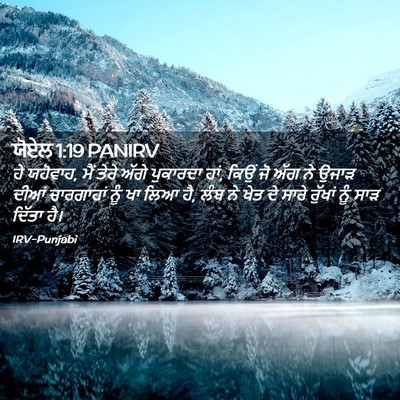 Picture 02 - ਯੋਏਲ 1:19 PANIRV - ਹੇ ਯਹੋਵਾਹ, ਮੈਂ ਤੇਰੇ - Bible Verse Picture