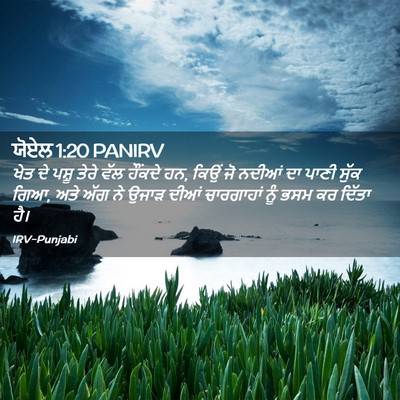 Picture 02 - ਯੋਏਲ 1:20 PANIRV - ਖੇਤ ਦੇ ਪਸ਼ੂ ਤੇਰੇ - Bible Verse Picture