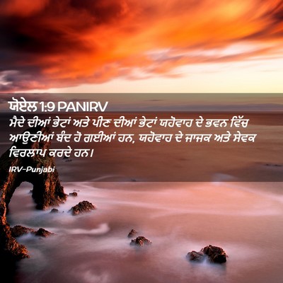 Picture 02 - ਯੋਏਲ 1:9 PANIRV - ਮੈਦੇ ਦੀਆਂ ਭੇਟਾਂ - Bible Verse Picture