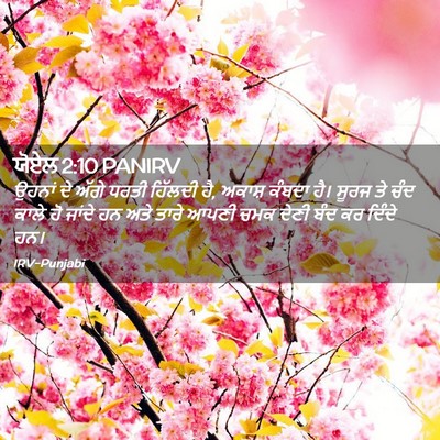 Picture 02 - ਯੋਏਲ 2:10 PANIRV - ਉਹਨਾਂ ਦੇ ਅੱਗੇ ਧਰਤੀ - Bible Verse Picture
