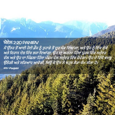 Picture 02 - ਯੋਏਲ 2:20 PANIRV - ਮੈਂ ਉੱਤਰ ਤੋਂ ਆਈ ਹੋਈ - Bible Verse Picture