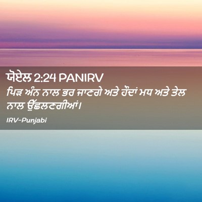Picture 02 - ਯੋਏਲ 2:24 PANIRV - ਪਿੜ ਅੰਨ ਨਾਲ ਭਰ - Bible Verse Picture
