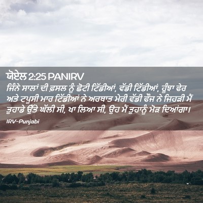 Picture 02 - ਯੋਏਲ 2:25 PANIRV - ਜਿੰਨੇ ਸਾਲਾਂ ਦੀ - Bible Verse Picture