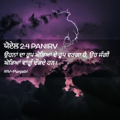 Picture 02 - ਯੋਏਲ 2:4 PANIRV - ਉਹਨਾਂ ਦਾ ਰੂਪ - Bible Verse Picture